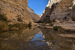 Bernhard Saalfeld - Juni